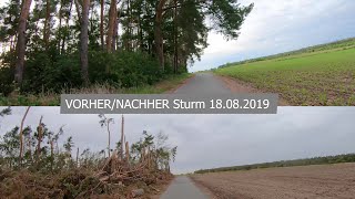 VorherNachher Sturmschäden Seligenstadt Rodgau 18082019 [upl. by Lyret]