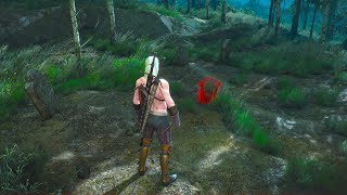 Yes 90 of players have never seen THIS  The Witcher 3 [upl. by Romy815]