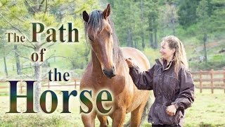 The Path of the Horse  Full Length documentary [upl. by Rabah450]