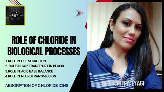 ROLE OF CHLORIDE IN BIOLOGICAL PROCESSES [upl. by Sou]