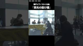 都庁ピアノで『栄光の架橋』を演奏したら感動的な空間が広がって…涙 ストリートピアノ 都庁ピアノ piano [upl. by Latta]