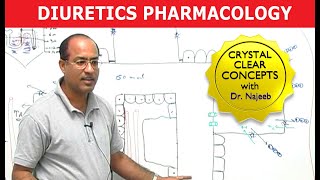 Diuretics  Pharmacology  Dr Najeeb [upl. by Auqenwahs813]