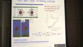 Electrically Driven Dynamics of Small Particles in Liquid Crystals [upl. by Cis491]