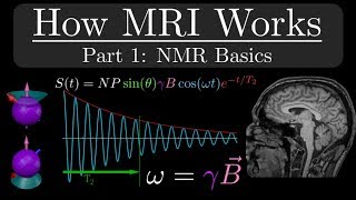 How MRI Works  Part 1  NMR Basics [upl. by Rubia607]