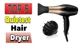 Best Quietest Hair Dryer [upl. by Alaj]