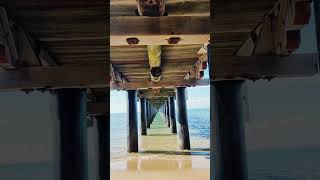 Hervey Bay QLD  Winter 2024  Urangan Pier Magic [upl. by Aicenat]