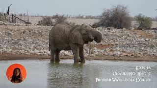 Okaukuejo Resort Premier Waterhole Chalet Etosha Park Namibia [upl. by Ppilihp]