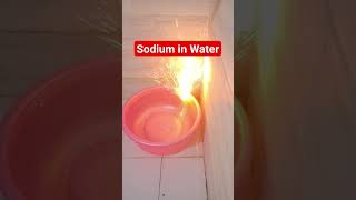 Sodium in Water  Sodium in Water Reaction   Sodium in Water Formula experiment [upl. by God]