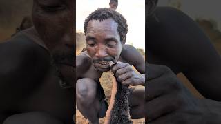 Unbelievable😲 breakfast Meal🤤 Hadzabe tribe boys enjoy eating Meals culture food hadzatribe [upl. by Swanson]