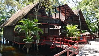 PASSO DO LONTRA PARQUE HOTEL NO CORAÇÃO DO PANTANAL [upl. by Lemhaj162]