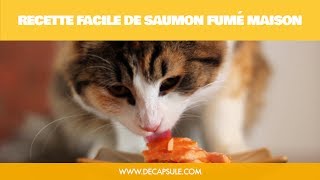 Recette facile comment fumer un saumon fumé  La Décapsule [upl. by Yt]