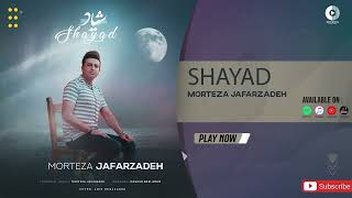 Morteza Jafarzadeh  Shayad  OFFICIAL AUDIO TRACK مرتضی جعفرزاده  شیاد [upl. by Packton]