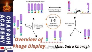 Phage Display  an overview  How does phage display technology work✍✍ [upl. by Livvy725]