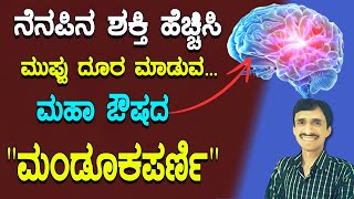 ನೆನಪಿನ ಶಕ್ತಿ ಹೆಚ್ಚಿಸಿ ಮುಪ್ಪು ದೂರ ಮಾಡುವ ಮಹಾ ಔಷದ quotಮಂಡೂಕಪರ್ಣಿquot  Mandokaparni in kannada [upl. by Ddat]