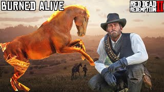 I killed my horse in every way possible in Red Dead Redemption 2 [upl. by Ydor]