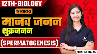 Spermatogenesis L4  Human Reproduction  Class 12thNEET Biology by Shalini Maam  Hindi Medium [upl. by Obmar]