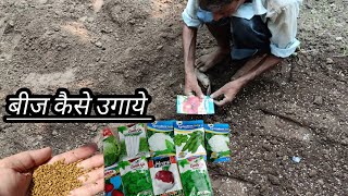 Nawab sahab ki kothi  Vegetable seeds planting guide  Complete guide to grow seedlings [upl. by Renraw689]