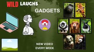 Wild Laughs Gadgets Live Stream [upl. by Emiolhs]