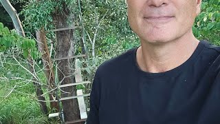 TREE SCAFF vlog cairnslobster scaffold [upl. by Wiltsey]