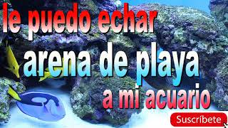 le puedo echar arena de playa a mi acuario [upl. by Lenhard418]