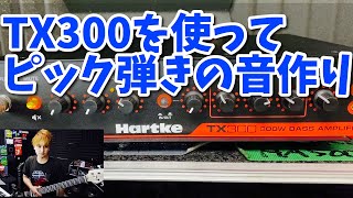 Hartke TX300を使ってベースの音作りをじっくり解説 ピック弾き編 [upl. by Wassyngton]