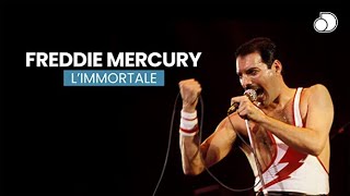 FREDDIE MERCURY LIMMORTALE [upl. by Brigit]