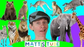 Wild Animals  Matts Tube 1  Learning Wild and Zoo Animals for Kids [upl. by Nivrad]