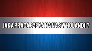 Jaka praca czeka na nas w Holandii [upl. by Notyalk]