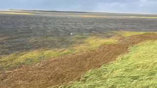 Septemberstorm zet Slufter op Texel onder water I Ecomare Texel [upl. by Airamanna]