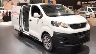 Peugeot Expert 2017 In detail review walkaround Interior Exterior [upl. by Ia220]