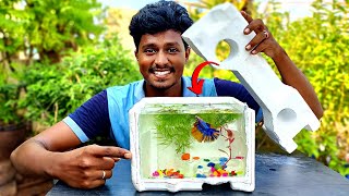 How to Make Fish Tank 🐠😍  Thermocol இருக்கா அப்போ Fish Tank ரெடி  Vijay Ideas [upl. by Gustave]