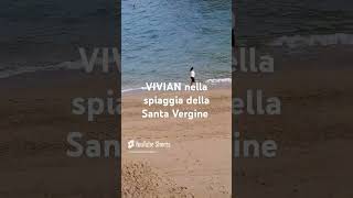 Spiaggia della Santa Vergine e Vivian [upl. by Okiron]