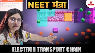 Electron Transport Chain 3D Animation  NEET Mantra  Garima Goel [upl. by Georgianna]