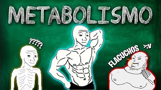 METABOLISMO  CATABOLISMO  ANABOLISMO ¿QUE SON [upl. by Kemeny]