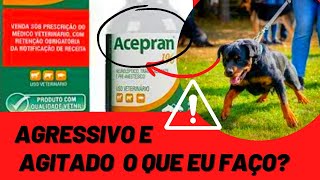 SEDATIVO PARA CACHORRO AGRESSIVO E AGITADO  Acepran NÃO USE SEM ASSISTIR Pode Salvar ou Matar Cães [upl. by Keldah]