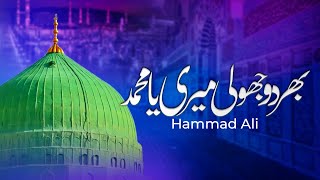 Bhar Do Jholi Meri Ya Muhammad Lyrics Naat  Hammad Ali  Awwal Studio [upl. by Ayotnom]