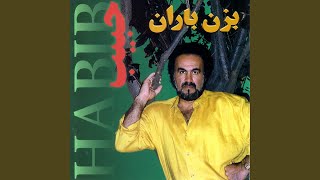 Naray Baraan De  Lyrics Video with English Translation  Wajid Layaq [upl. by Orrin148]