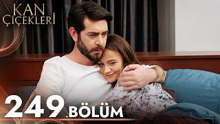 Kan Çiçekleri 249 Bölüm [upl. by Nancie]