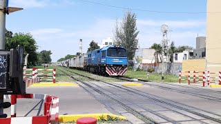 CRRC CDD3A1 9474 con 22 vagones por Hurlingham hacia Cabred 221024 [upl. by Althee]