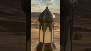 Qasr Al Sarab Anantara Dubai shorts youtubeshorts youtube [upl. by Okimik]