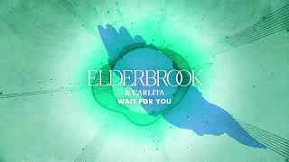 Elderbrook amp Carlita  Wait For You [upl. by Rubetta545]