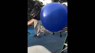 Inside a 6ft balloon goes wrong LEAF BLOWER IDIOT [upl. by Port151]