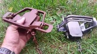 Bridger 2 Dogless 4 Coiled Fully Modified Traps Review [upl. by Bicknell784]