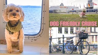 DOG FRIENDLY CRUISE to AMSTERDAM European Holiday with a Dog [upl. by Luttrell162]