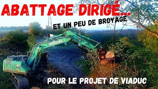 chantier dabattage délicat [upl. by Harland]