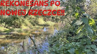 Rekonesans na nowej leśnej rzeczce [upl. by Acessej]