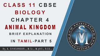 CLASS 11 CBSE BIOLOGY CHAPTER 4 ANIMAL KINGDOM PART 5  EXPLANATION IN TAMIL [upl. by Yeta]