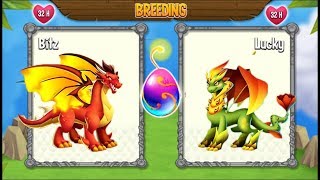 NEW BREEDING New Flame Dragon amp New Nature Dragon  DRAGON CITY [upl. by Dewey]