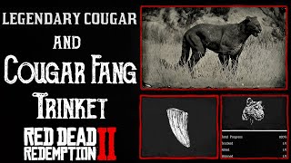 RDR2 Legendary Cougar Location  Cougar Fang Trinket  10 Stamina Exp  Red Dead Redemption 2 [upl. by Manuela]