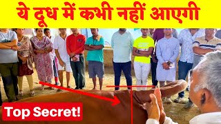 Productive Gir Cow Identifiction amp Devlopment  Gir Cow Training Camp [upl. by Eireva320]